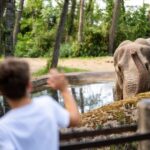 Arnhem: Burgers' Zoo Entry Ticket - A Breakdown of the Main Attractions