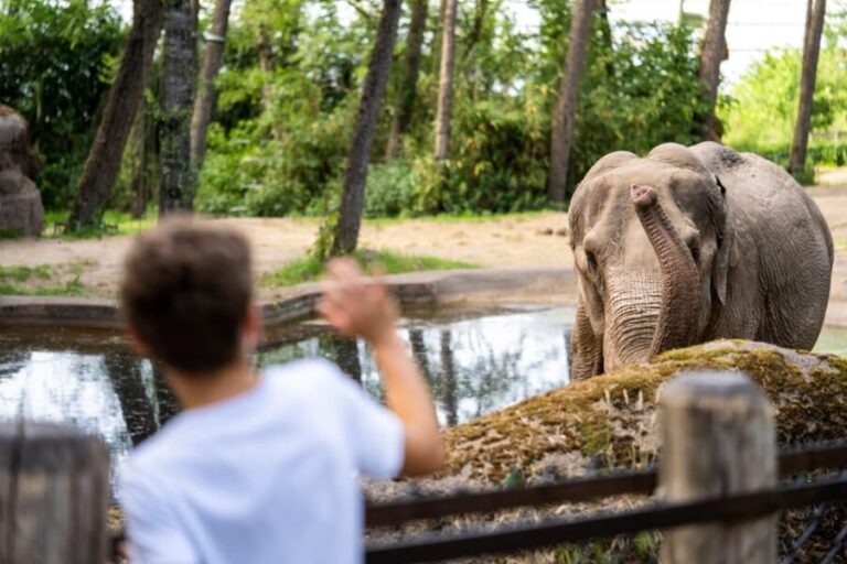 Arnhem: Burgers' Zoo Entry Ticket - A Breakdown of the Main Attractions
