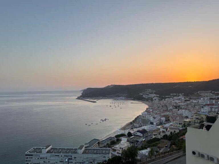 Arrábida - Fantastic dolphin tour - Practical Tips for Participants