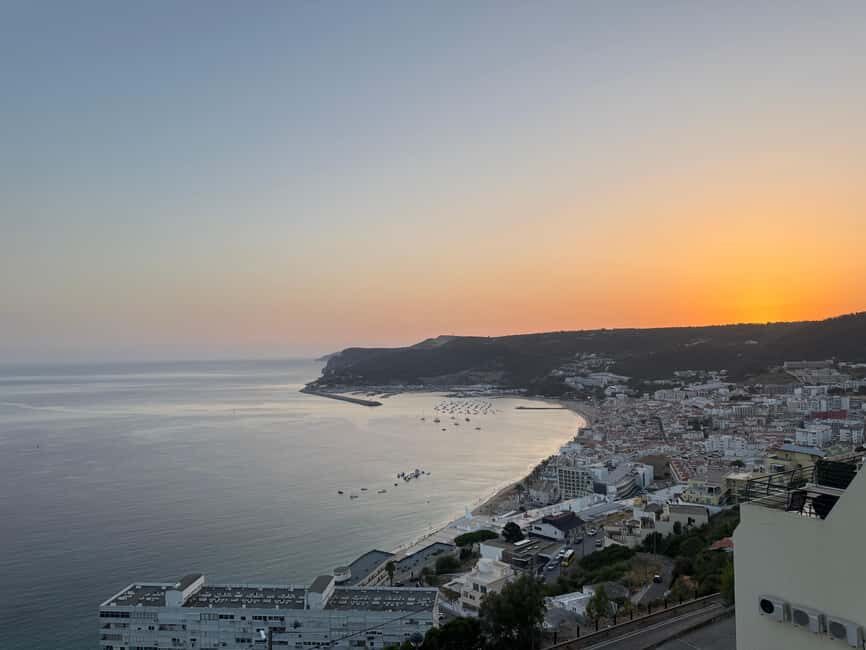 Arrábida - Fantastic dolphin tour - Practical Tips for Participants