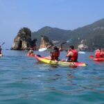 Arrábida Kayak Tour - Who Should Consider This Tour?