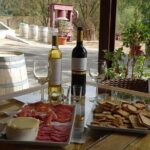 Arrábida Palmela Azeitão Private Tour - W/ Wine Tasting & Tapas - Who Is This Tour Best Suited For?