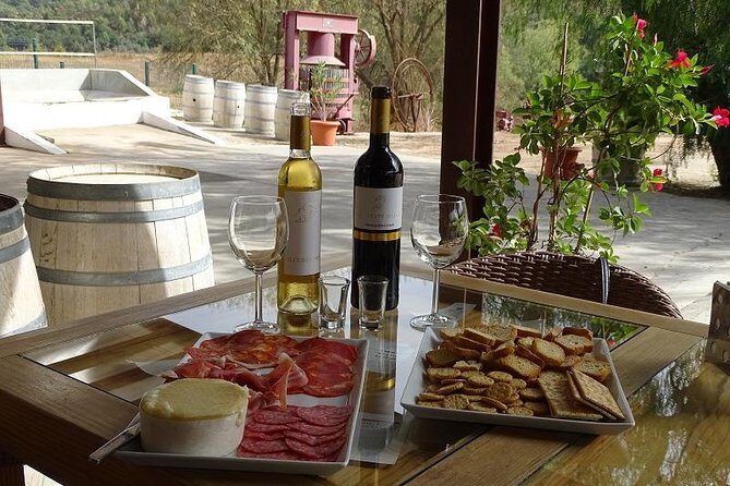 Arrábida Palmela Azeitão Private Tour - W/ Wine Tasting & Tapas - Who Is This Tour Best Suited For?