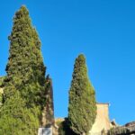 Arrábida: Private Setubal Highlights Tour (Full Day) - Real Traveler Insights