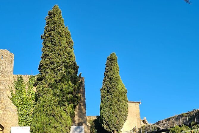 Arrábida: Private Setubal Highlights Tour (Full Day) - Real Traveler Insights