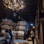 Arrábida - Sesimbra: Jeep Tour and Wine Tasting at Azeitão - Practical Details and What to Expect