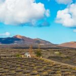 Arrecife: Timanfaya and Green Lagoon for Cruise Passengers - What’s Included and What’s Not