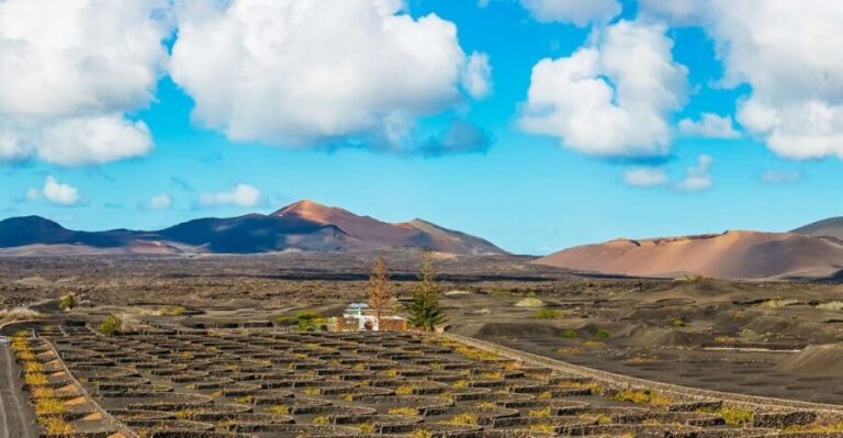 Arrecife: Timanfaya and Green Lagoon for Cruise Passengers - What’s Included and What’s Not