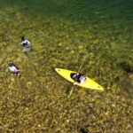 Arriondas: Descenso del Sella en Canoa - Who is This Tour Perfect For?