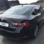 Arrival in Iceland - Private airport transfer from KEF Airport - Who Will Love This Service?