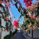 Arround Gran Canaria All Highlights Private Shore Excursion - What Makes This Tour Stand Out?