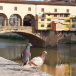 Art and History -Florence walking small group tour - Final Thoughts: Who Would Love This Tour?