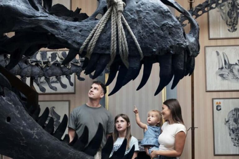 Art Zoo Museum: Art meets nature in a 17th-Century House - Key Points