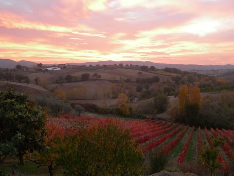 Assisi Rental Vespa '125cc - full day - The Itinerary and What to Expect