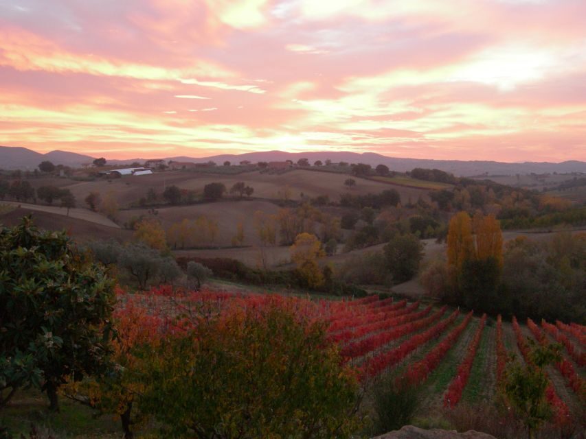 Assisi Rental Vespa '125cc - full day - The Itinerary and What to Expect