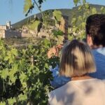 Assisi: Wine tasting, gourmet pairing, walk in the vineyards - An in-depth look at the Assisi wine tasting experience