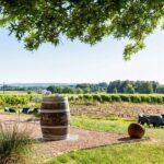 At the gates of Toulouse: from the vine to the cellar - Practical Details and Considerations