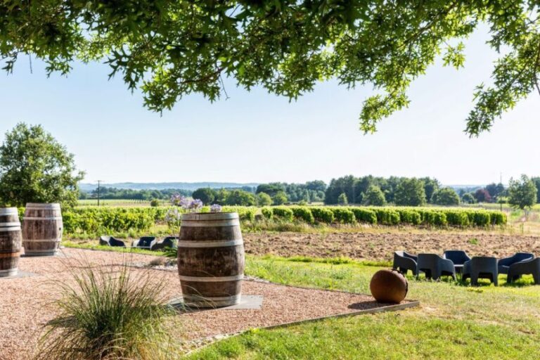 At the gates of Toulouse: from the vine to the cellar - Practical Details and Considerations