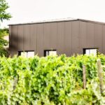 At the gates of Toulouse : Gourmet Tour - Walk and Tastings - Practical Details and Tips