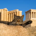 Athens: Acropolis Guided Tour with Skip-The-Line Tickets - What Real Travelers Say