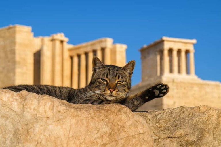 Athens: Acropolis Guided Tour with Skip-The-Line Tickets - What Real Travelers Say