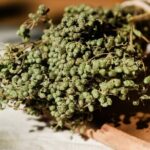 Athens Cooking Class and Lunch in our beautiful garden in Greece - Final Thoughts