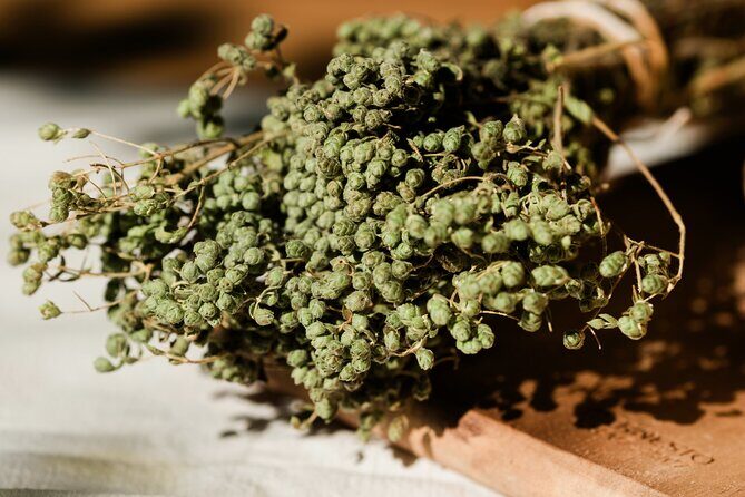 Athens Cooking Class and Lunch in our beautiful garden in Greece - Final Thoughts