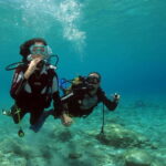 Athens: Discover Scuba Diving Experience for Beginners - Detailed Look at the Day’s Itinerary
