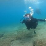 Athens East Coast: Discover Scuba Diving in Nea Makri - Why This Tour Works Well