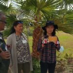 Athens: Philosophy Experiential Workshop at Aristotle Lyceum - Discovering the Philosophy of Aristotle in Athens