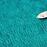 Athens Private Cruise Snorkeling Marathon Nea Makri Schinias - Why This Tour Offers Great Value