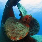 Athens Scuba Diving Experience for Certified Divers with pick up - What the Reviews Say