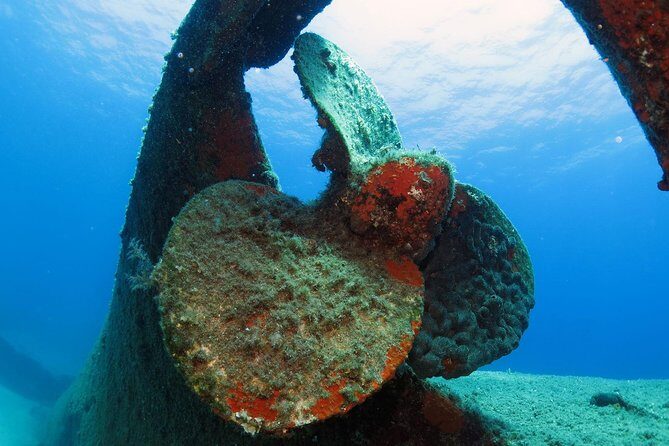 Athens Scuba Diving Experience for Certified Divers with pick up - What the Reviews Say