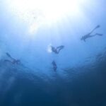 Athens: Snorkeling Riviera Adventure - The Itinerary: What You Can Expect