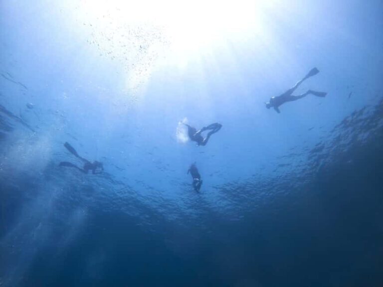 Athens: Snorkeling Riviera Adventure - The Itinerary: What You Can Expect