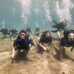 Athens: Try Scuba Diving - Real Reviews and What They Say