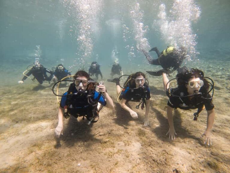 Athens: Try Scuba Diving - Real Reviews and What They Say