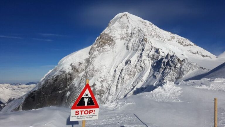 Attraction Ticket: Jungfraujoch self-guided day trip - What Travelers Say and Why It Matters