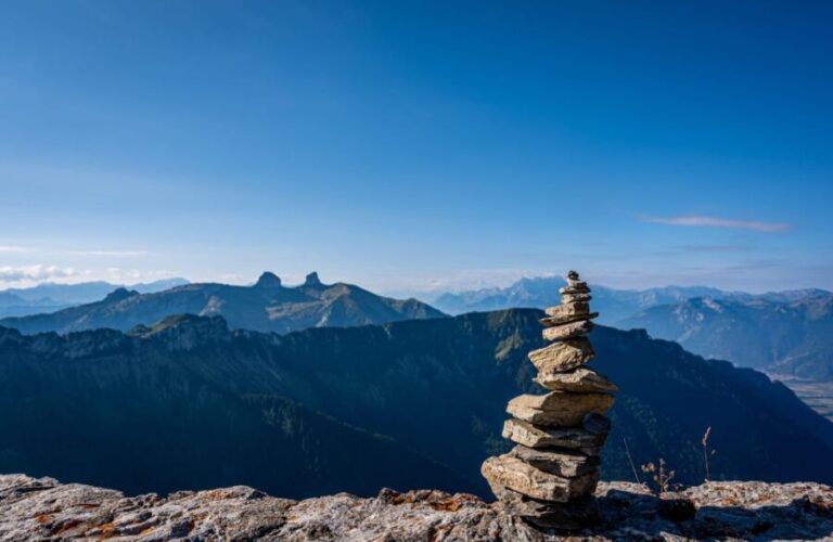 Attraction Ticket: Montreux to Rochers-de-Naye - Who Will Love This Experience?