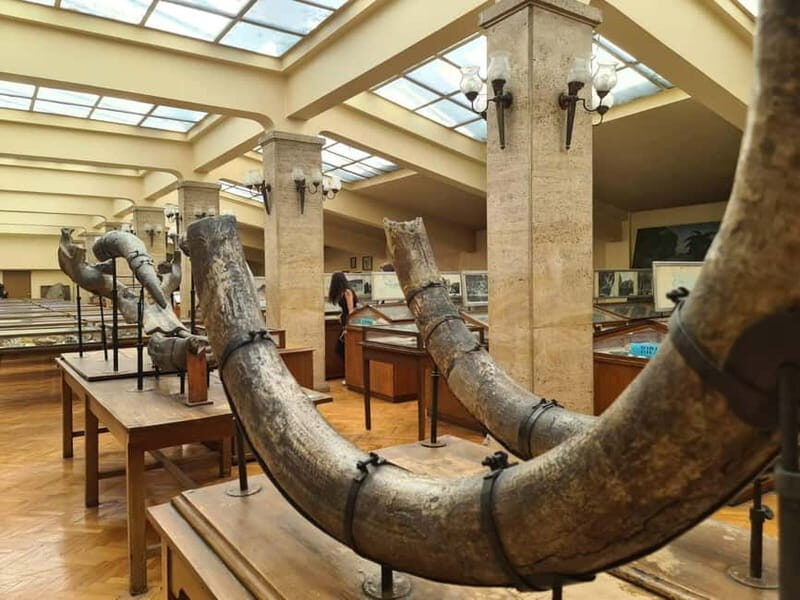 Audio Guide for Museum Paleontology and Historical Geology - A Deep Dive into the Museum Experience