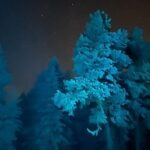 Aurora Borealis Dinner in a Glass Igloo - Summing Up the Experience