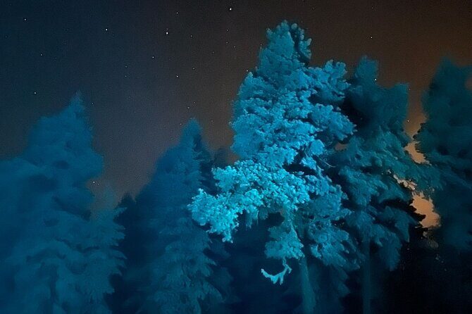 Aurora Borealis Dinner in a Glass Igloo - Summing Up the Experience