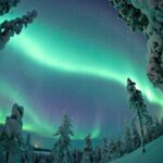 Aurora Borealis Picnic in Rovaniemi - Authentic Insights from Travelers