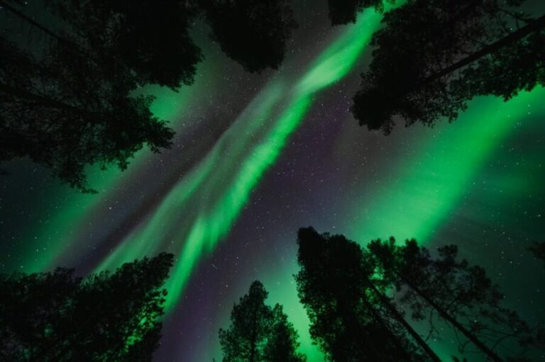 Aurora Photography Hunt - What the Aurora Photography Hunt Offers