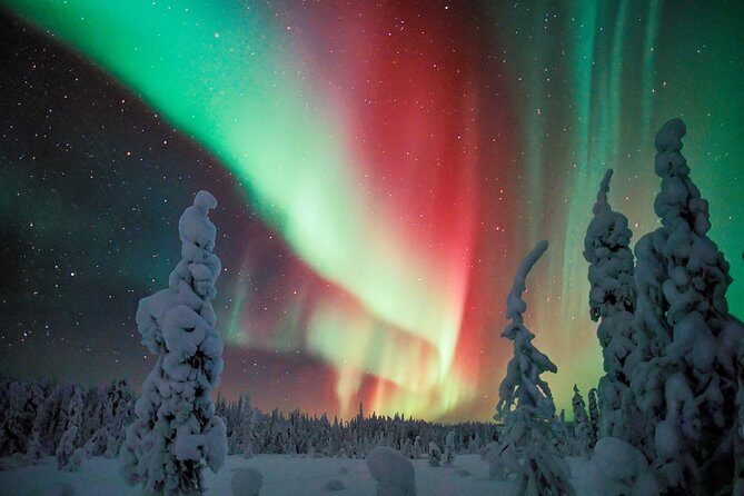 Auroras - Northern Lights Tours by Aurora Experts - Rovaniemi - Final Thoughts