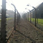 Auschwitz and Birkenau Guided Tour from Krakow - Who Should Consider This Tour?
