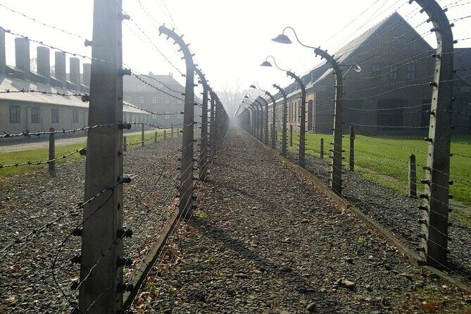Auschwitz and Birkenau Guided Tour from Krakow - Who Should Consider This Tour?