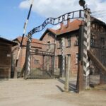 Auschwitz and Birkenau Memorial and Museum Guided Tour from Krakow - What to Expect and What Not to Miss