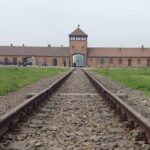 Auschwitz and Birkenau Round-Trip VIP Transport from Krakow - Final Thoughts: Who Is This Tour Best For?