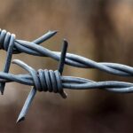 Auschwitz and Birkenau Tour - Authentic Experiences and Insights from Reviewers